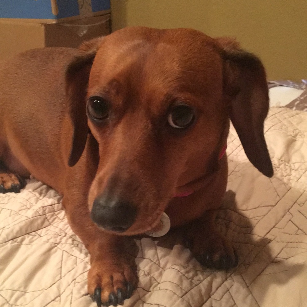 Meet your Posher, Cindy